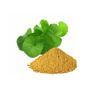 Bacopa Monnieri Extract