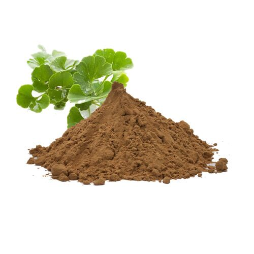Ginkgo Biloba Extract