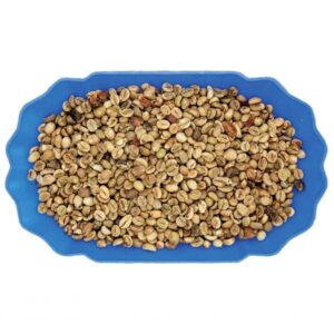Vietnam Robusta Grade 1 SC 16 Clean