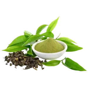 Green Tea Extract