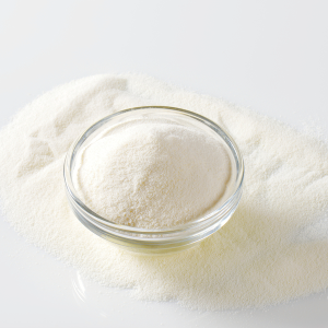 Whey Protein Concentrate 80% Lactose Free