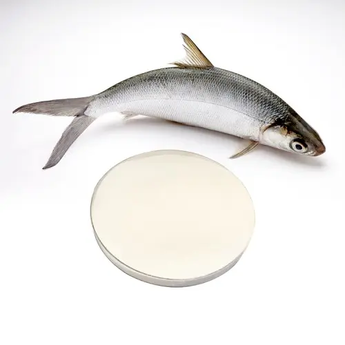Fish Collagen