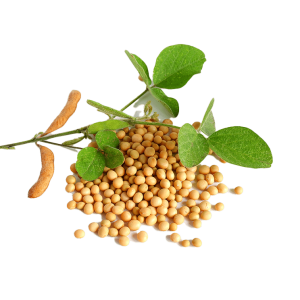 Nattokinase