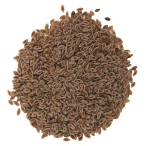 Psyllium